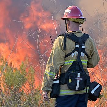 Poway Fire on scene of the Ted Williams fire