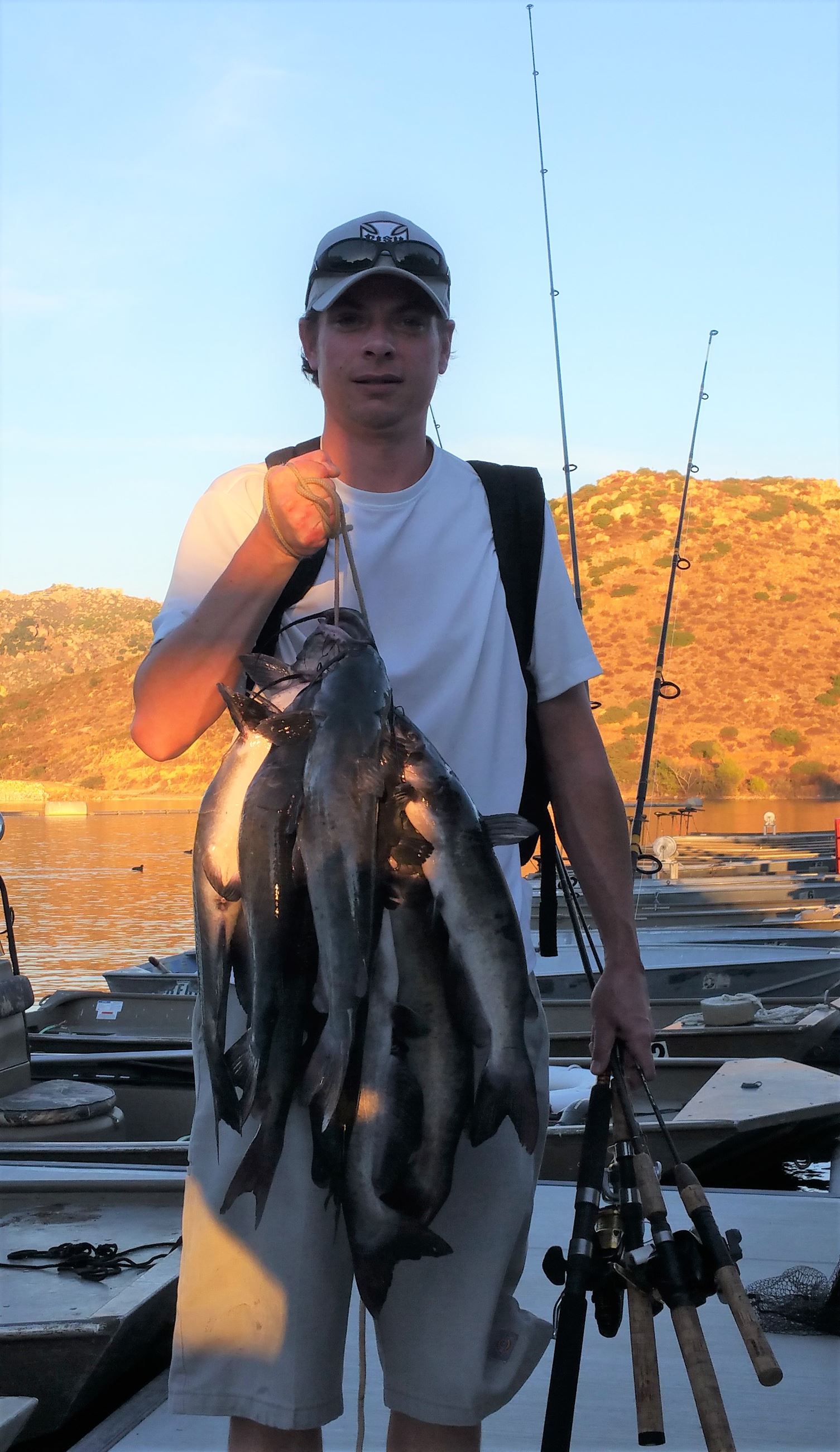 Cory Garland 24 Nov 2017 10 cats Mackerel, log boom, Ramona