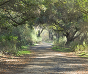 Fun and Fitness Hikes