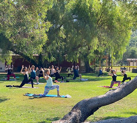 Yoga at Aubrey Park