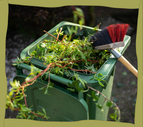 green carts delivered