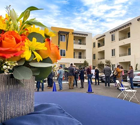 Apollo Grand Opening after news