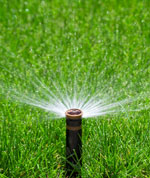 Sprinkler-Photo-topstories.jpg